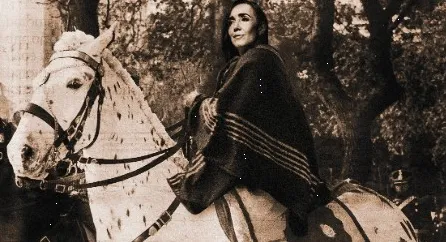 capture_260223_221546