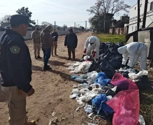 bb56bde0-9c6f-437a-96f8-fa3f45c45321