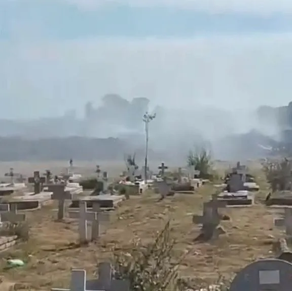 WhatsApp Image 2026-01-28 at 12.17.45