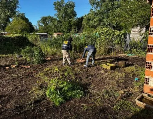 cc1b5122-6165-42d3-9516-1a73e85f13cf