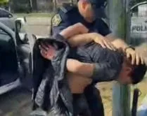 cecdcd78-0393-428f-b880-b359e23cd399