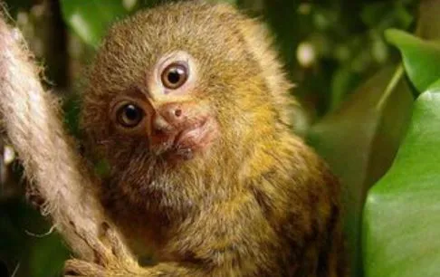 ggggggggggggggggggggggg