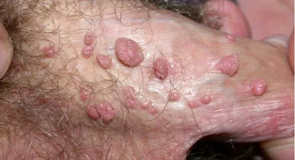 90783e74-cb00-448a-8275-3847844bebdf