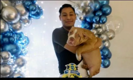 accf33e6-54d9-4125-8fb1-735f69786731