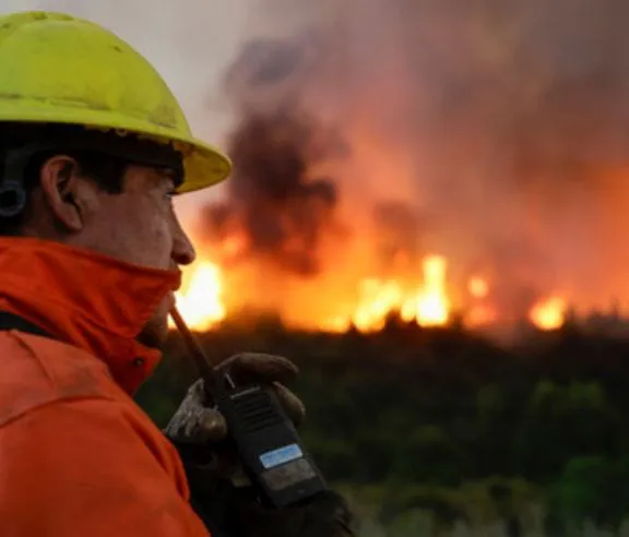 WhatsApp Image 2026-02-03 at 16.30.00