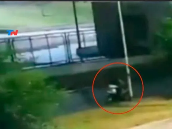 WhatsApp Image 2026-02-08 at 13.57.44