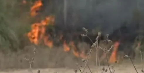 WhatsApp Image 2026-01-28 at 12.40.05