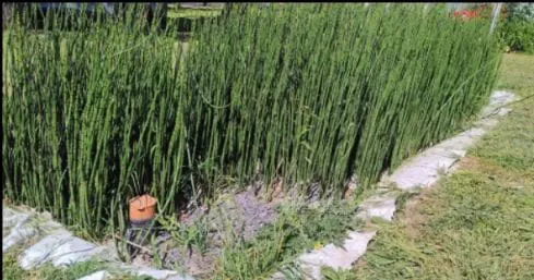 39d9dcbd-d3a2-4c0c-a0ae-a94414f3de9e