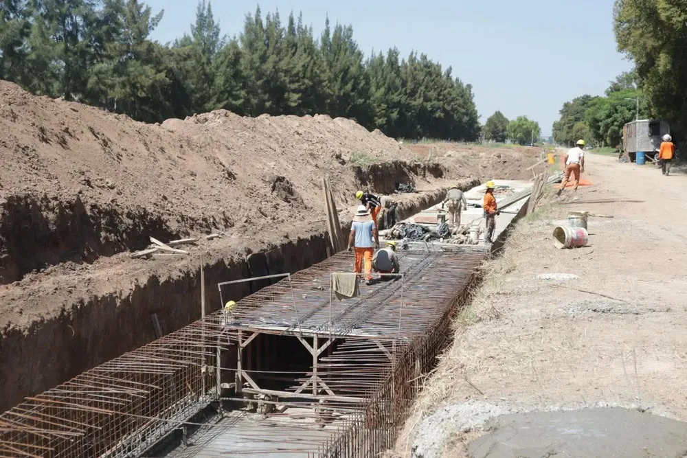 WhatsApp Image 2026-01-15 at 10.39.16