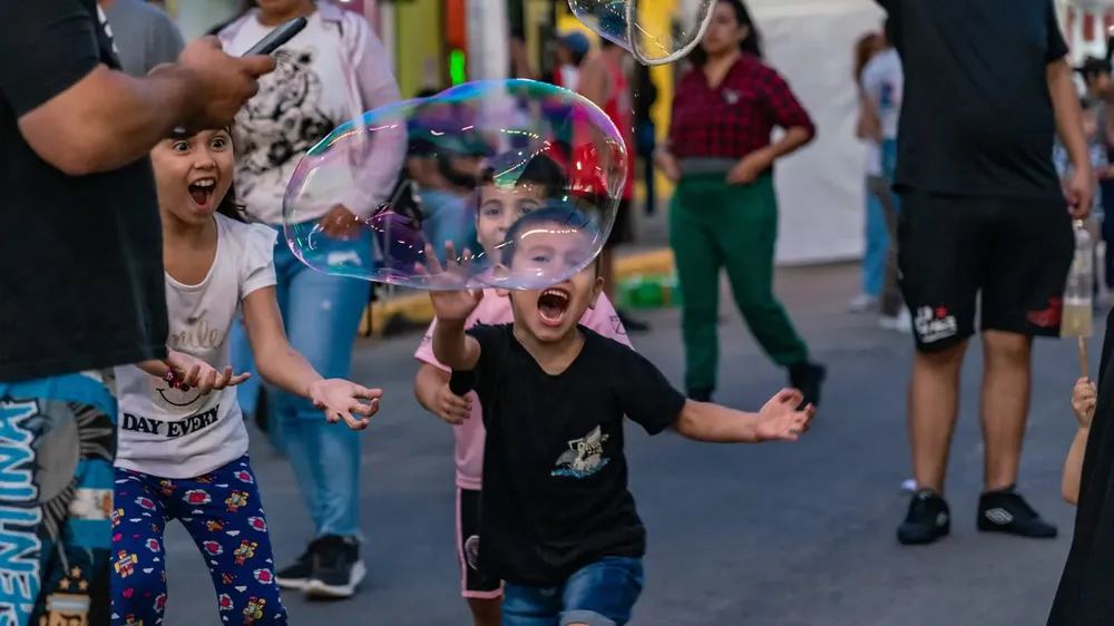 WhatsApp Image 2026-02-04 at 17.41.31