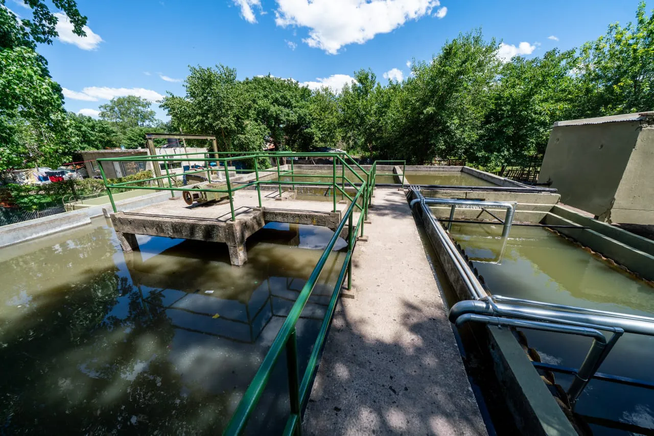 WhatsApp Image 2025-12-17 at 17.19.00