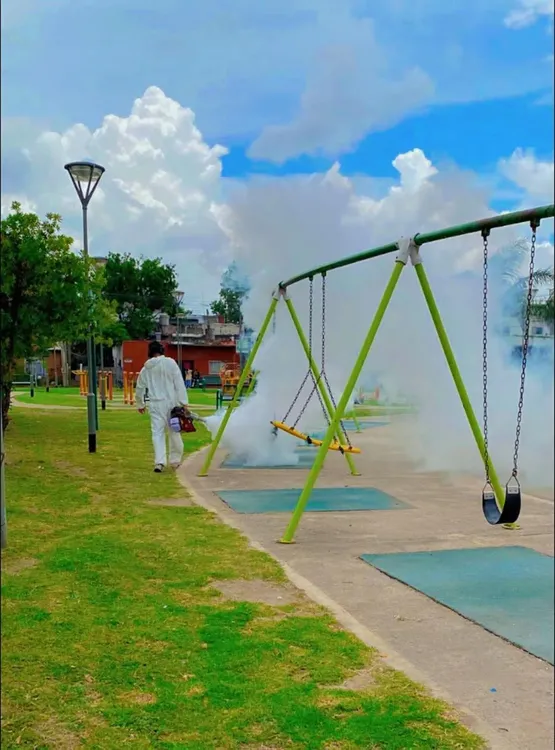 WhatsApp Image 2026-01-08 at 16.04.28