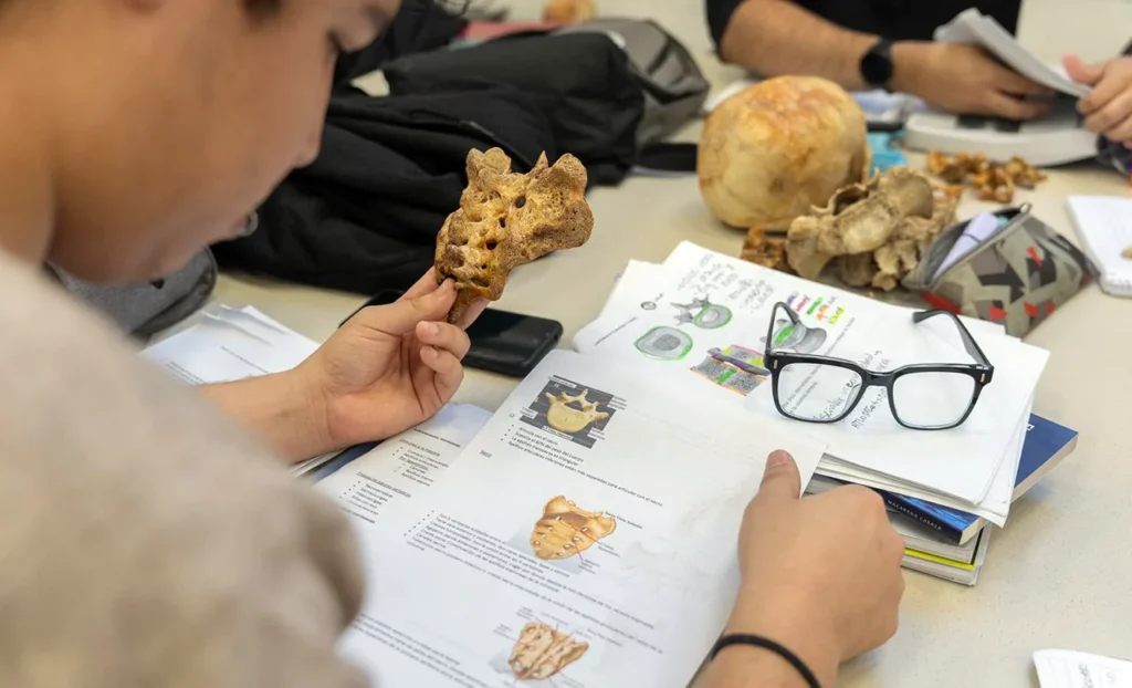 Carreras-UNLaM-1024x622