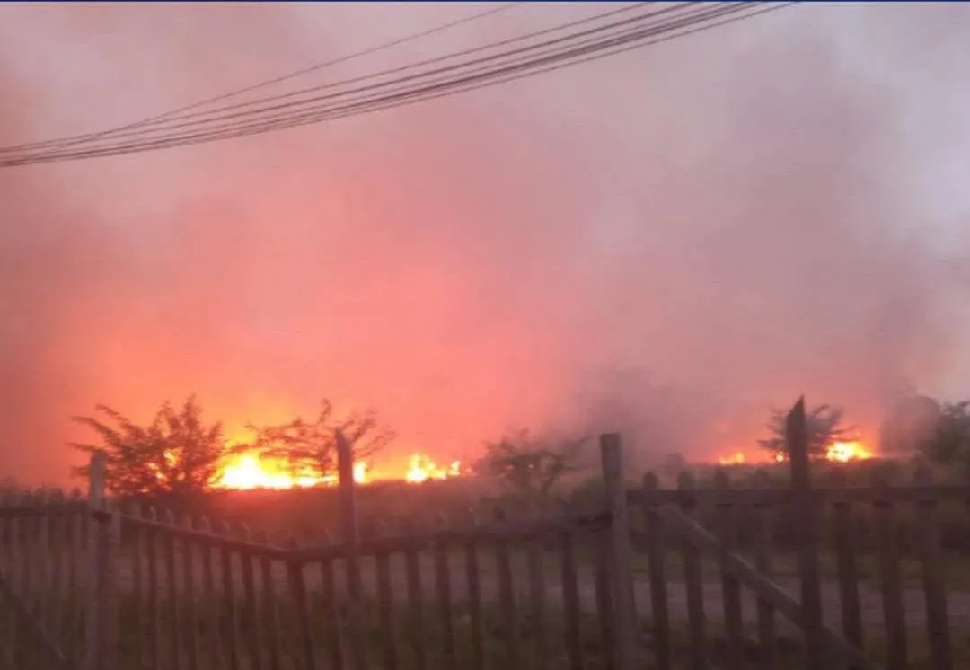 WhatsApp Image 2026-01-15 at 10.49.47