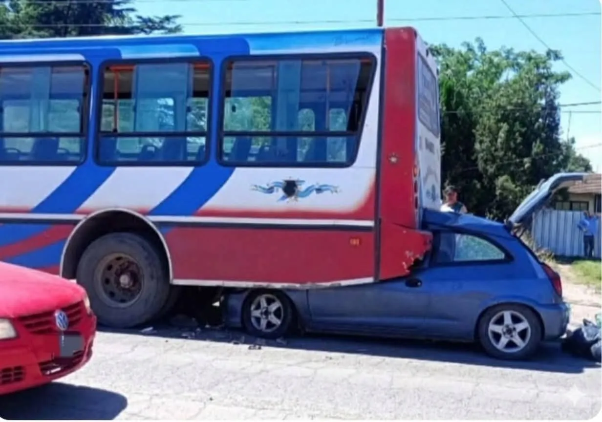 WhatsApp Image 2025-12-17 at 17.04.32