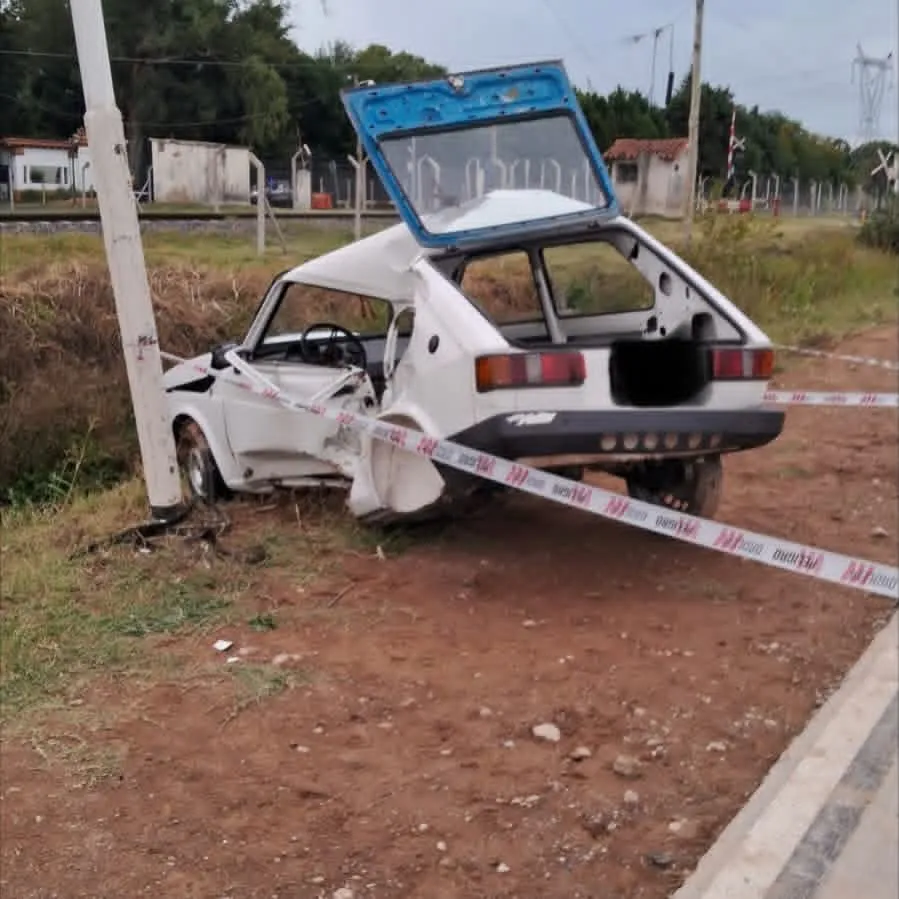 WhatsApp Image 2026-02-16 at 16.22.51