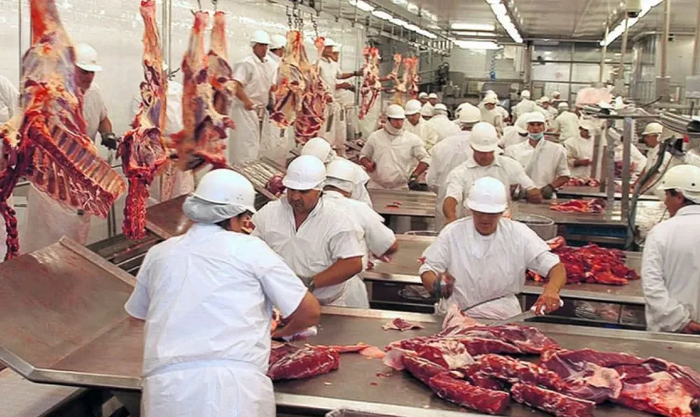 NOTA ECONOMIA