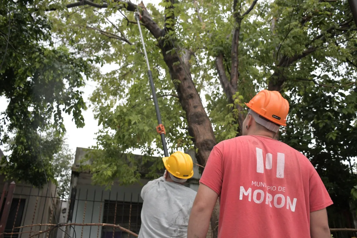 temporal-moron-1jpeg