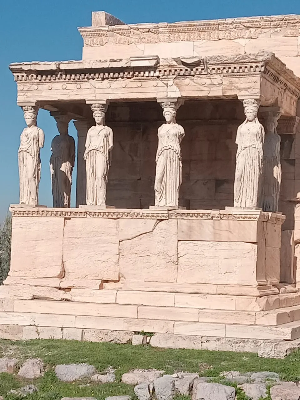 WhatsApp Image 2026-01-19 at 18.46.47