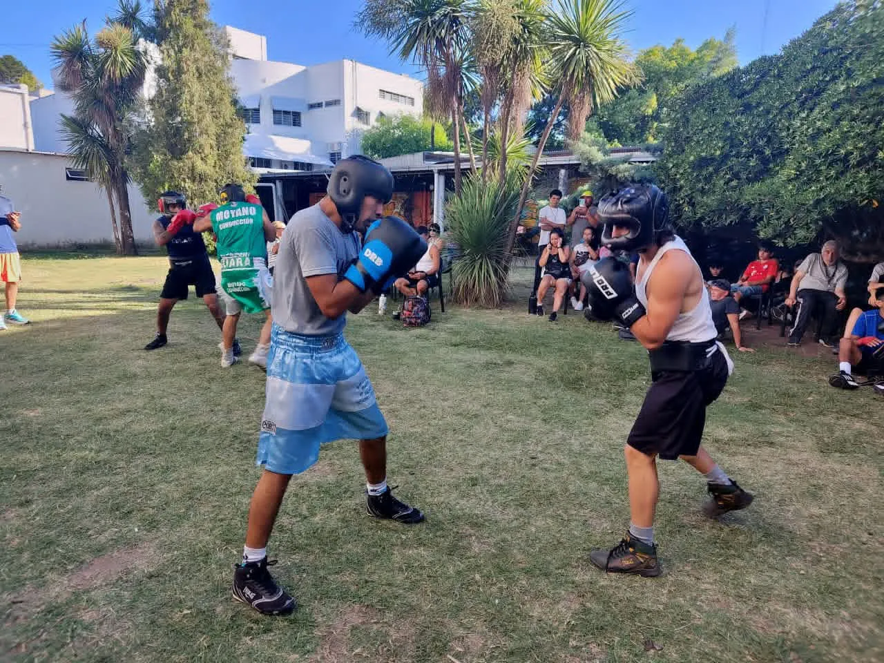 WhatsApp Image 2026-02-18 at 19.40.36