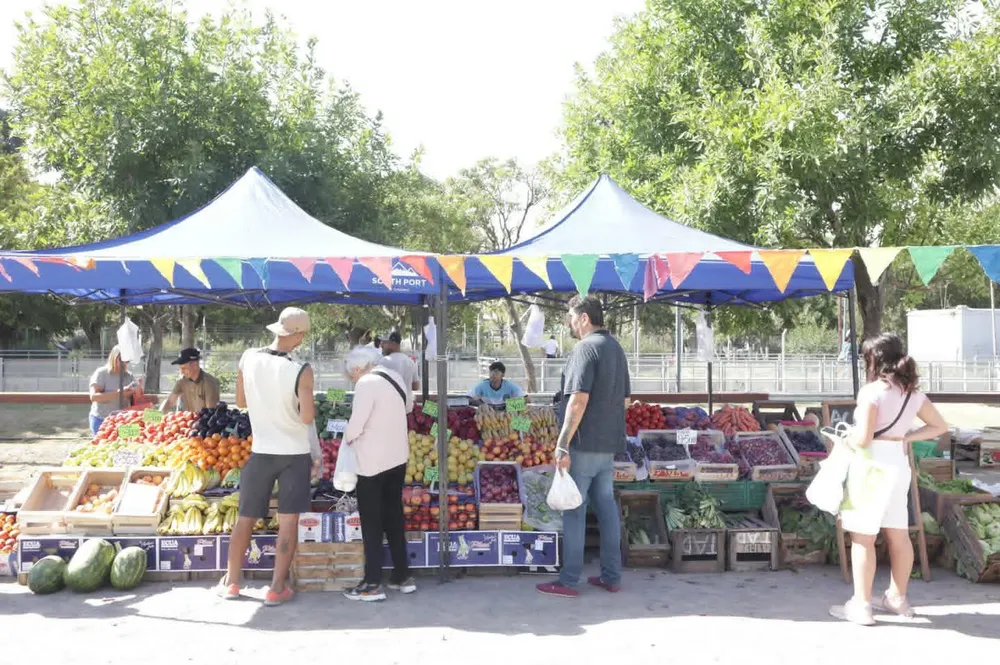 WhatsApp Image 2026-03-05 at 20.25.32