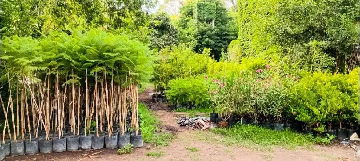 WhatsApp Image 2026-01-12 at 19.48.05