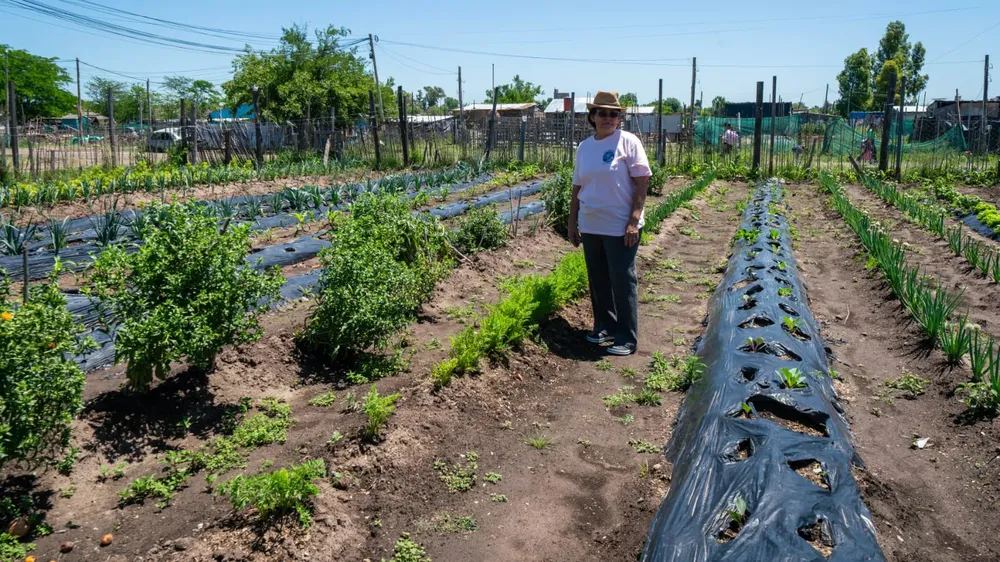 WhatsApp Image 2026-04-08 at 18.06.27