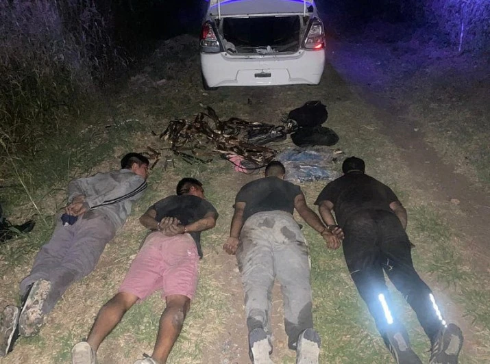 679a5e640af50_715_532!