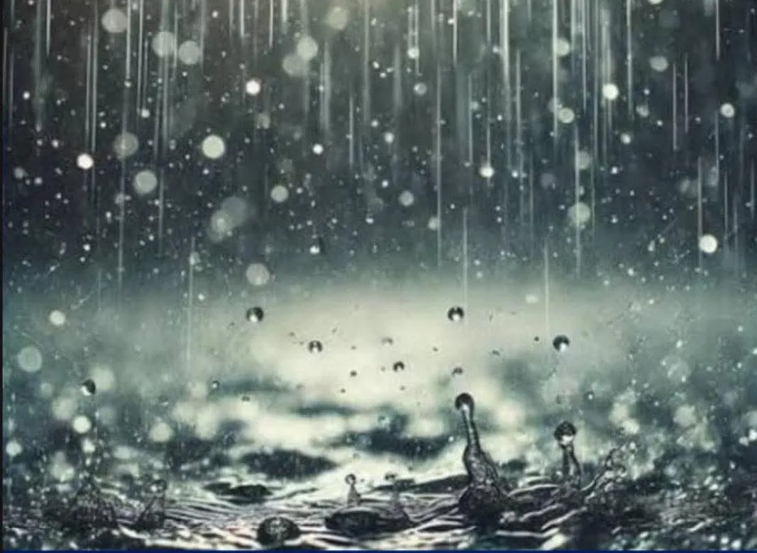 WhatsApp Image 2026-01-14 at 14.32.45