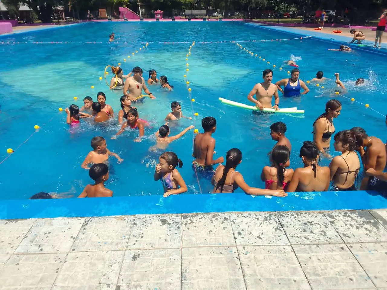 WhatsApp Image 2026-01-15 at 11.01.28