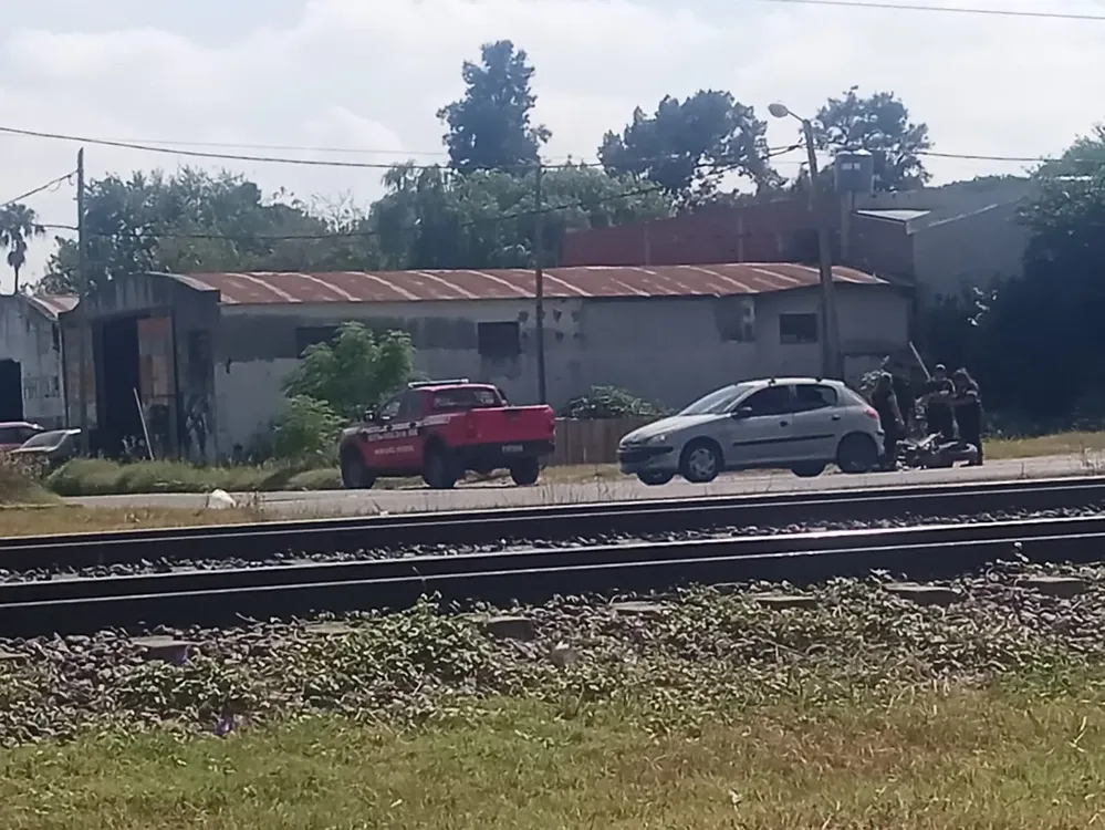 WhatsApp Image 2026-01-31 at 14.52.32