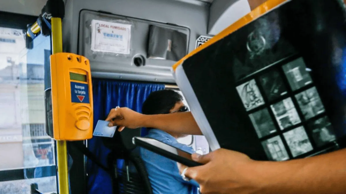 colectivo_-5-.png_514393762