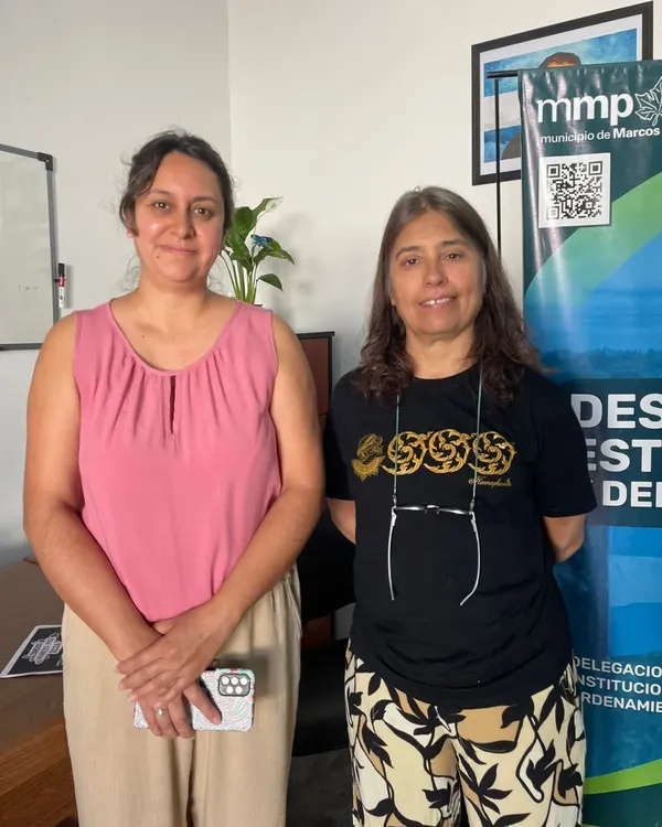 WhatsApp Image 2026-02-12 at 17.42.26