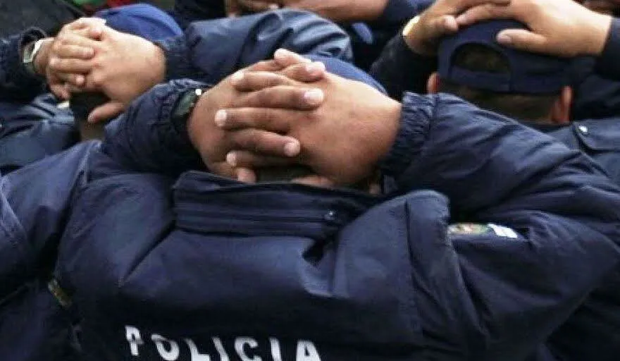 WhatsApp Image 2026-01-29 at 16.35.57