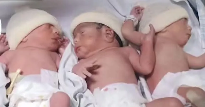 cefc6532-69b8-4bf1-9c09-a7a253e7c4a3