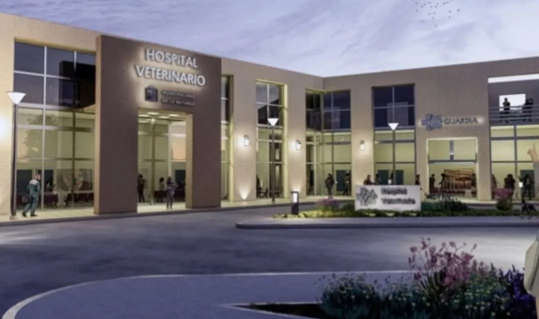 WhatsApp Image 2026-01-30 at 15.22.59