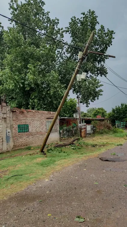 WhatsApp Image 2026-02-03 at 16.54.01