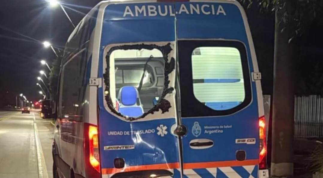 WhatsApp Image 2026-02-28 at 18.24.20