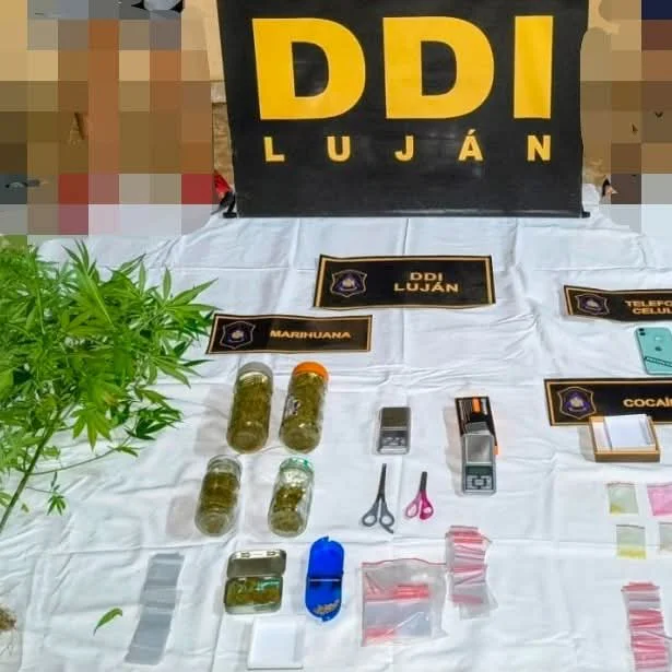 WhatsApp Image 2026-03-31 at 19.52.05