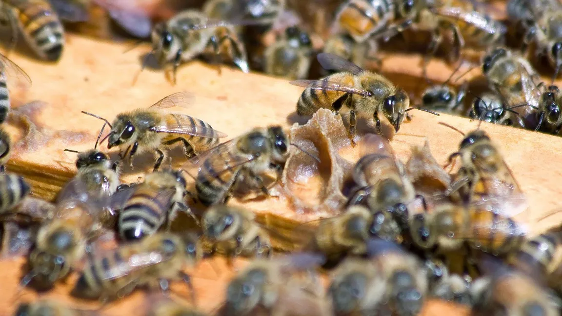 whatsapp_image_2025-09-29_at_14.56.46