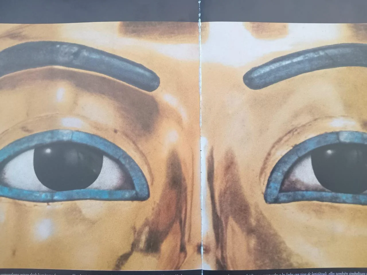 WhatsApp Image 2026-03-22 at 17.46.50