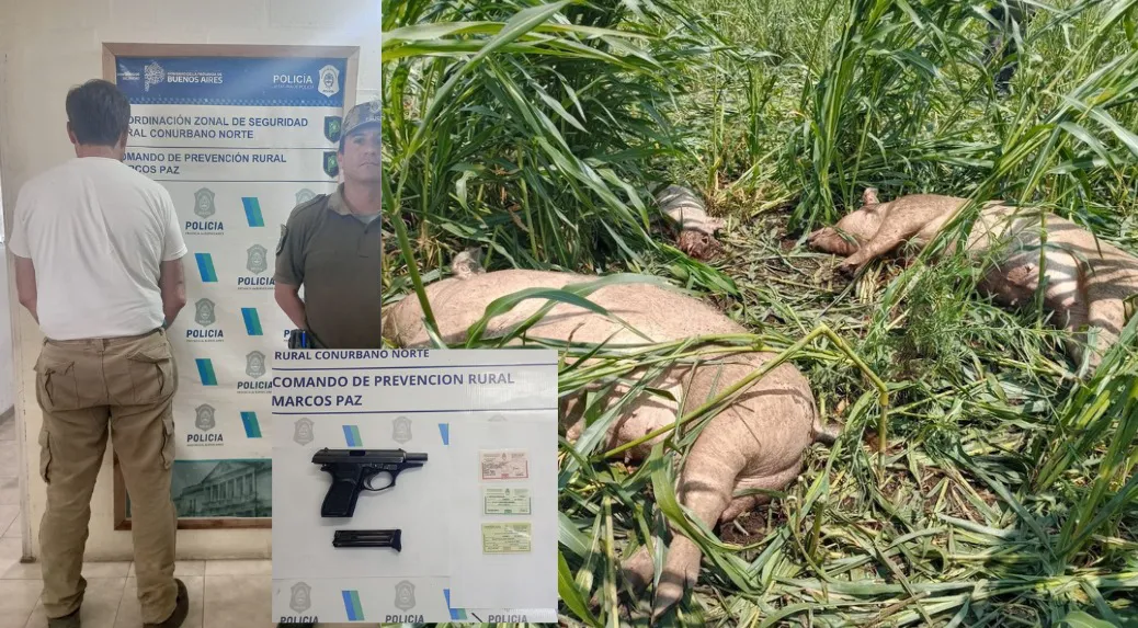 WhatsApp Image 2026-02-20 at 18.03.32